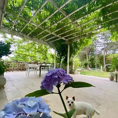 Homestay Ananda Huo Saint-Cloud