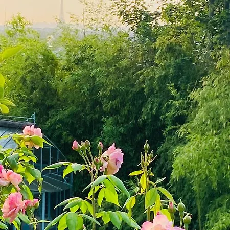 Ananda Huo 홈스테이 *